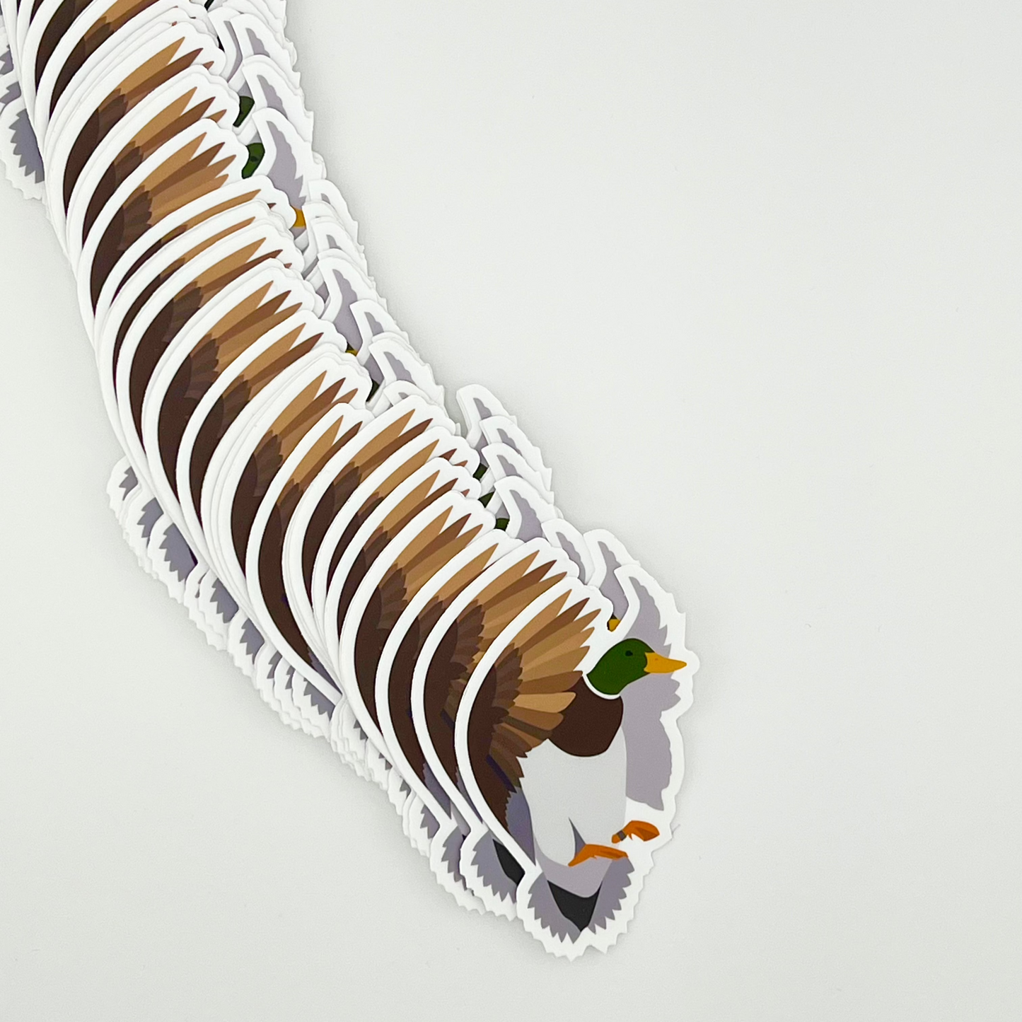 'Greenhead' FLYT Rings Limited Edition 3" x 2" Sticker